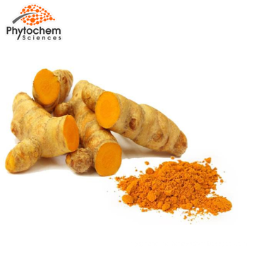 Natural concentrated 10% curcuminoids turmeric extract powder